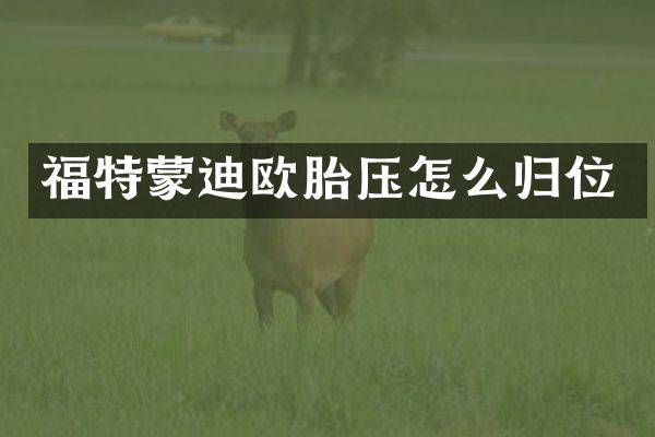 福特蒙迪欧胎压怎么归位