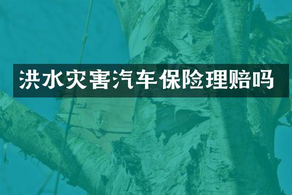 洪水灾害汽车保险理赔吗