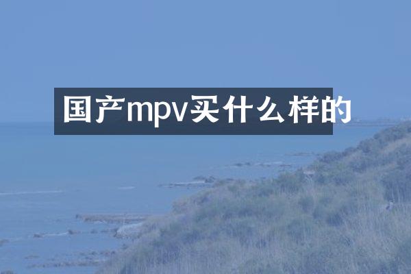 国产mpv买什么样的
