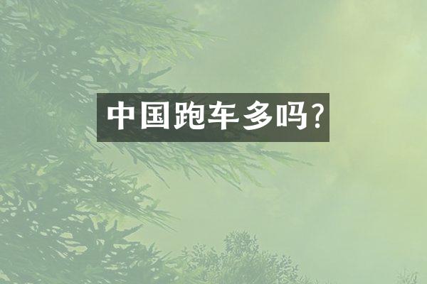 中国跑车多吗?