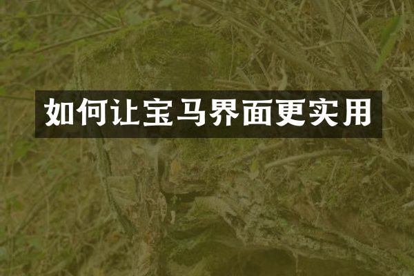 如何让宝马界面更实用