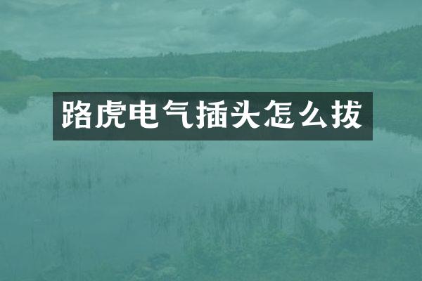 路虎电气插头怎么拔