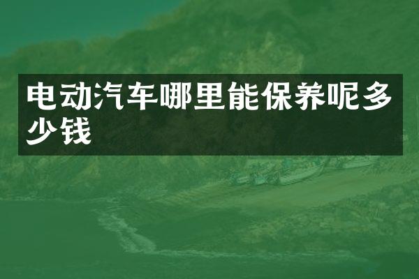 电动汽车哪里能保养呢多少钱