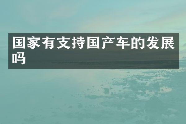 国家有支持国产车的发展吗