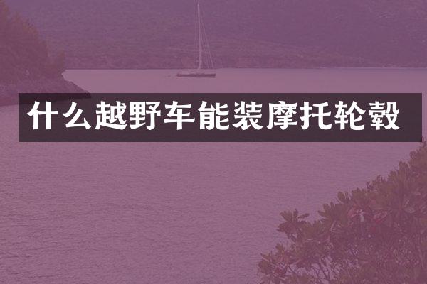 什么越野车能装摩托轮毂