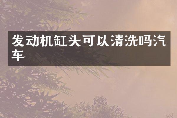 发动机缸头可以清洗吗汽车