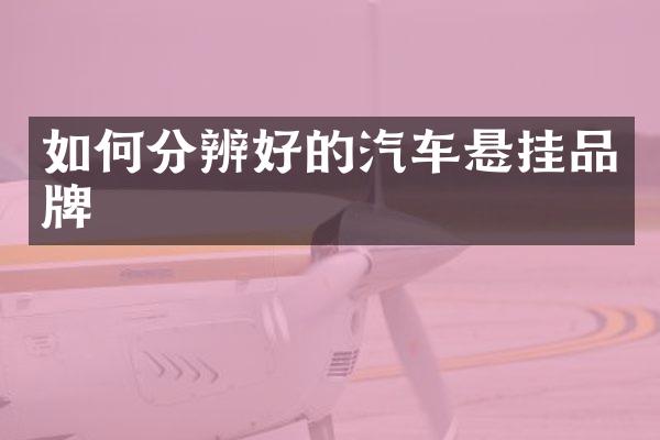 如何分辨好的汽车悬挂品牌