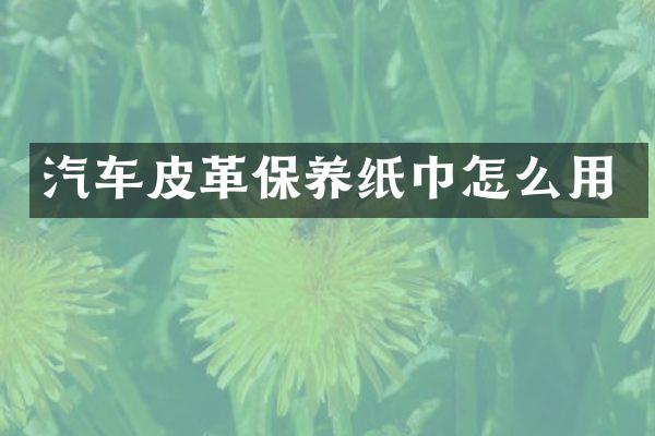 汽车皮革保养纸巾怎么用