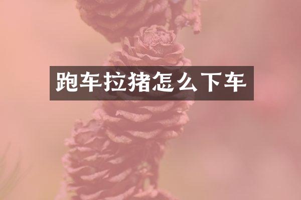 跑车拉猪怎么下车