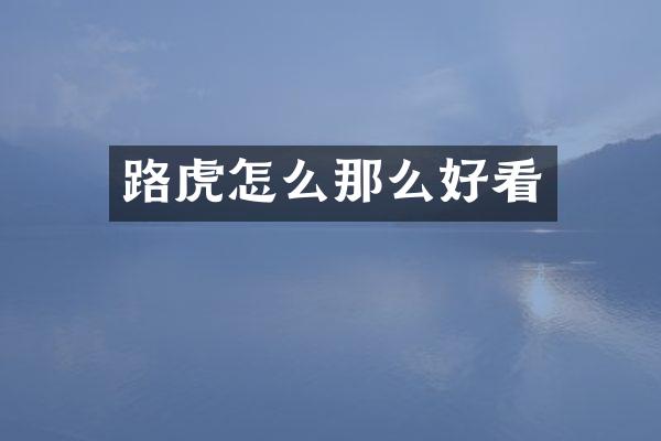 路虎怎么那么好看