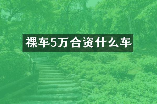 裸车5万合资什么车