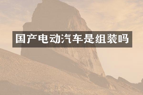 国产电动汽车是组装吗