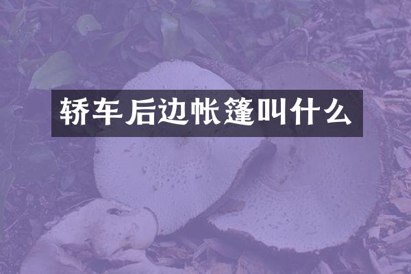 轿车后边帐篷叫什么