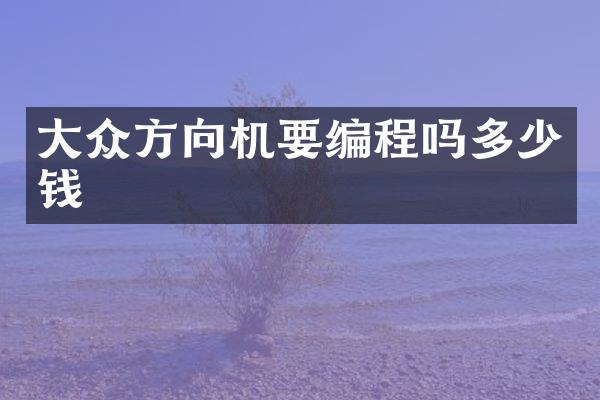 大众方向机要编程吗多少钱
