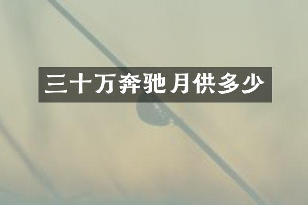 三十万奔驰月供多少