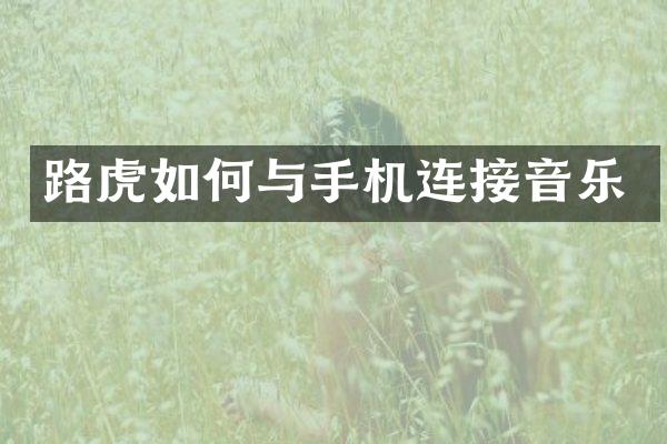 路虎如何与手机连接音乐