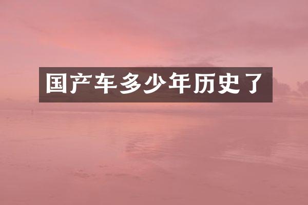 国产车多少年历史了