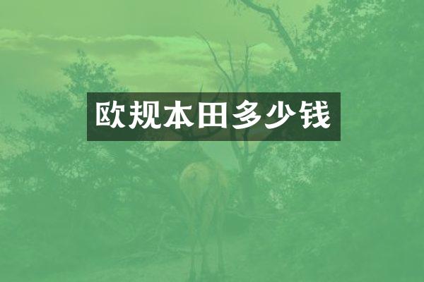 欧规本田多少钱