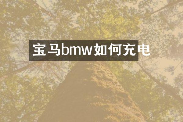 宝马bmw如何充电