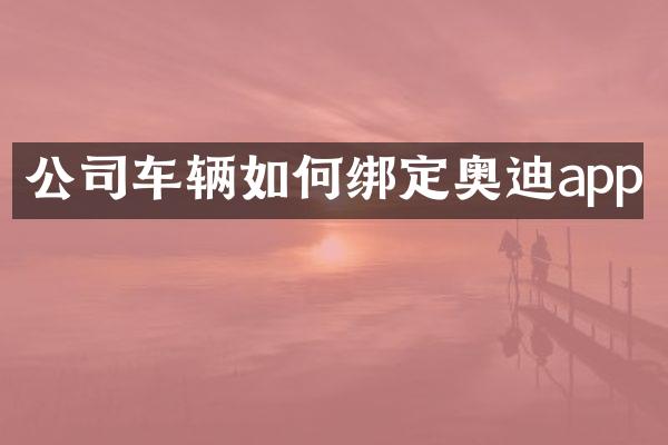 公司车辆如何绑定奥迪app