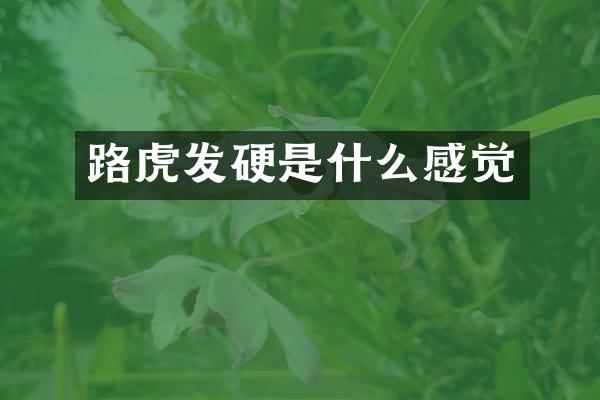 路虎发硬是什么感觉