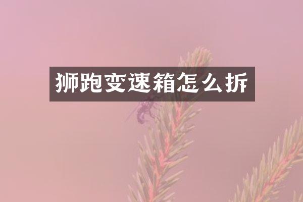 狮跑变速箱怎么拆