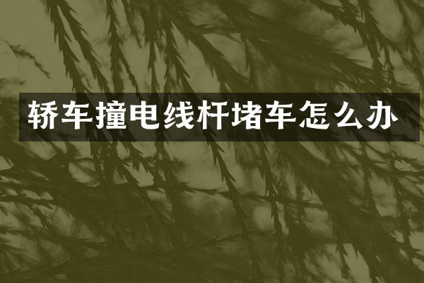 轿车撞电线杆堵车怎么办