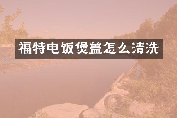 福特电饭煲盖怎么清洗