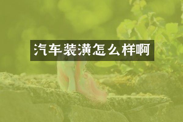 汽车装潢怎么样啊