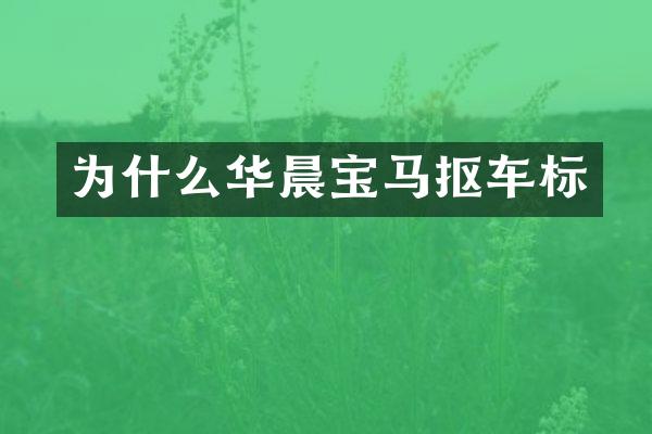为什么华晨宝马抠车标