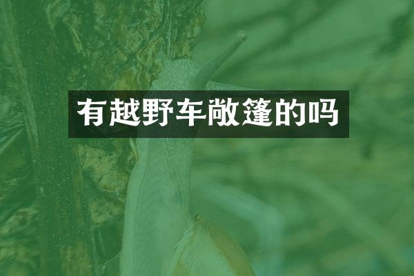 有越野车敞篷的吗