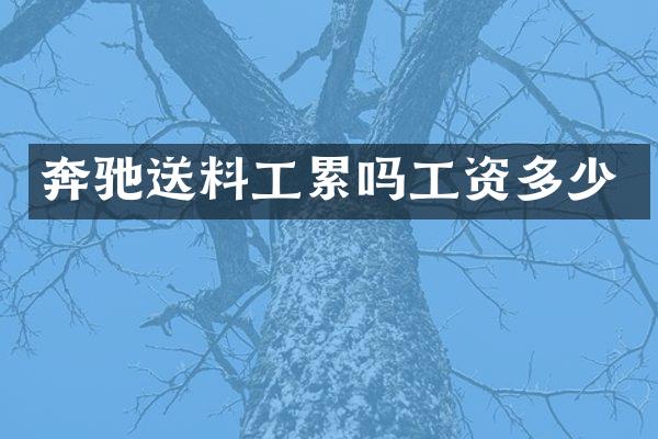 奔驰送料工累吗工资多少