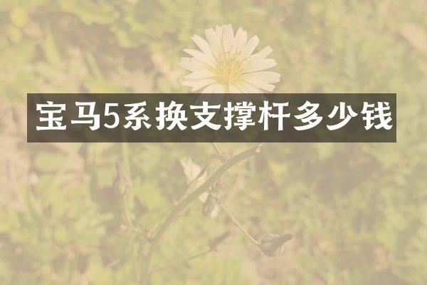 宝马5系换支撑杆多少钱