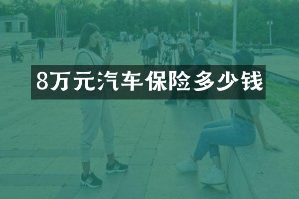 8万元汽车保险多少钱