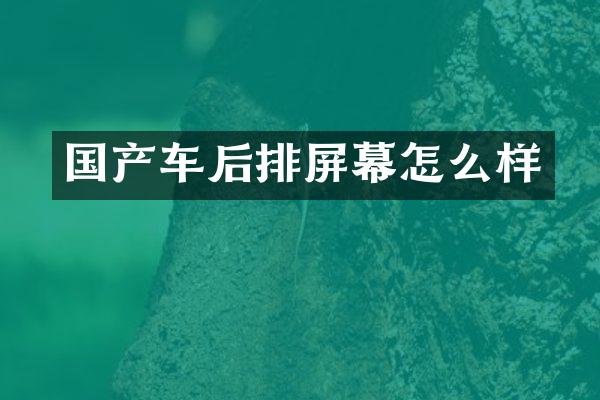 国产车后排屏幕怎么样