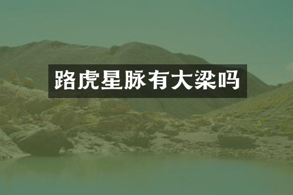 路虎星脉有大梁吗