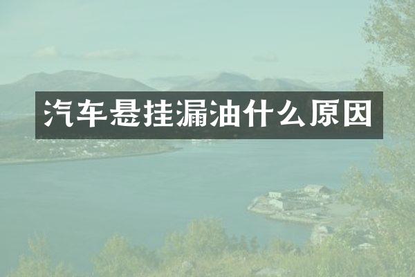 汽车悬挂漏油什么原因