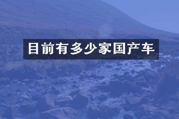 目前有多少家国产车