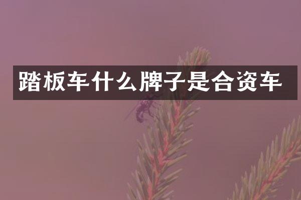 踏板车什么牌子是合资车