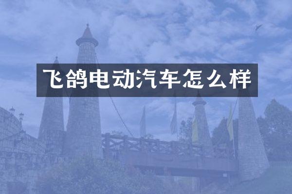 飞鸽电动汽车怎么样