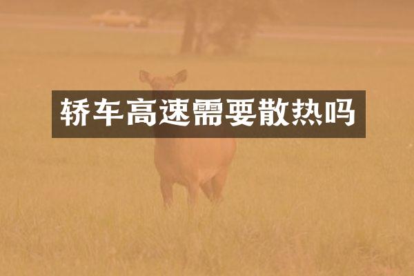 轿车高速需要散热吗