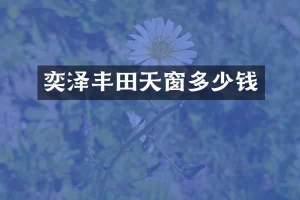 奕泽丰田天窗多少钱