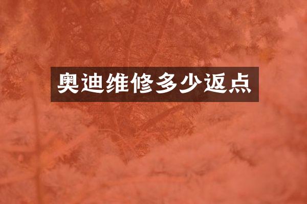 奥迪维修多少返点