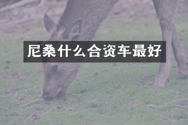 尼桑什么合资车最好
