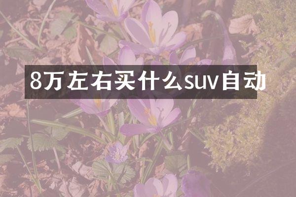 8万左右suv自动