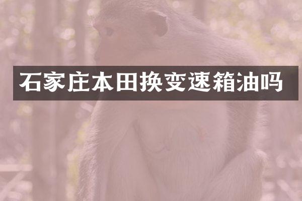 石家庄本田换变速箱油吗