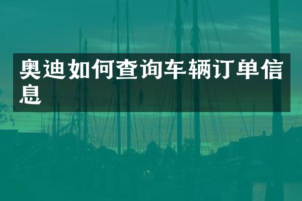 奥迪如何查询车辆订单信息