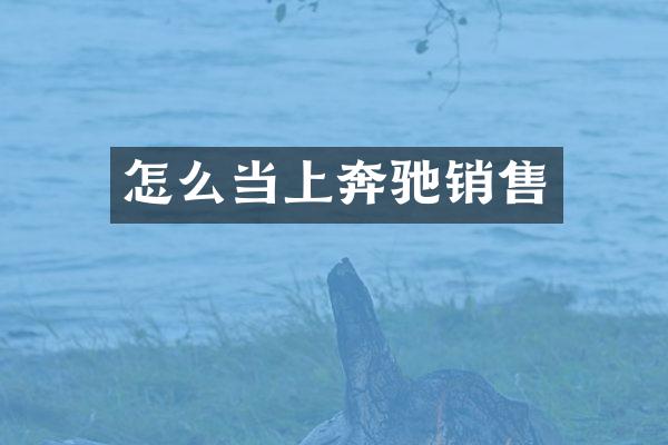 怎么当上奔驰销售