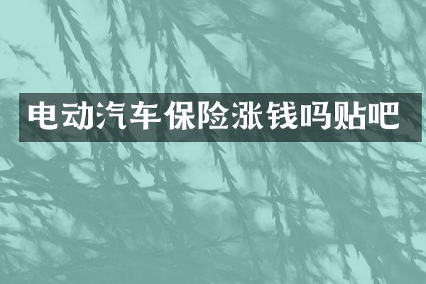 电动汽车保险涨钱吗贴吧