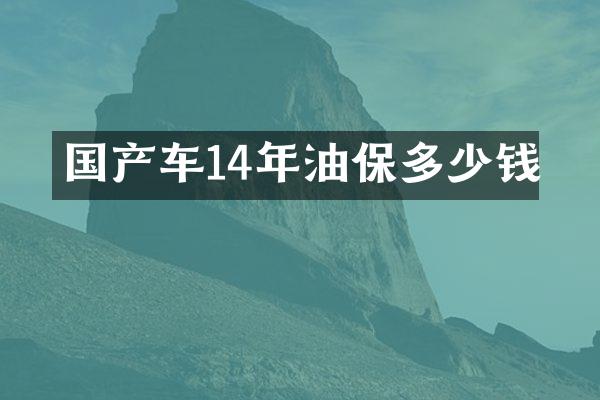 国产车14年油保多少钱
